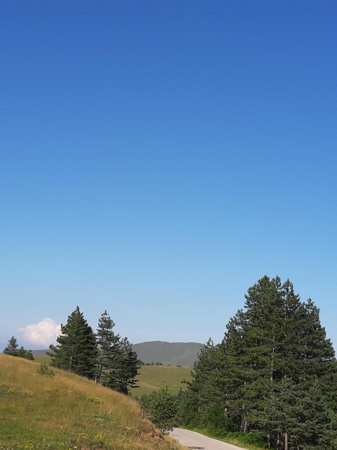 Apartman Gagi Zlatibor Exteriör bild