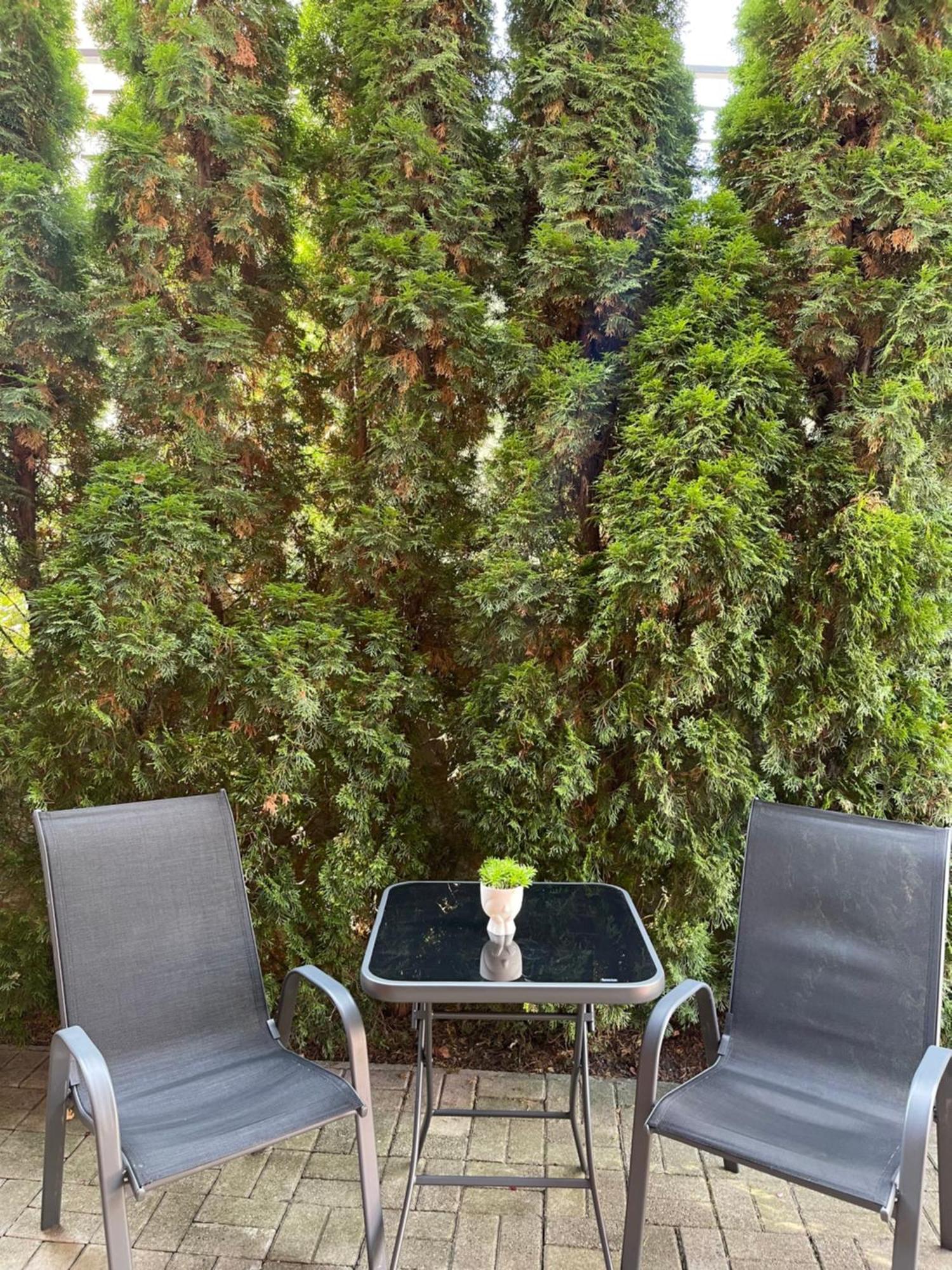 Apartman Gagi Zlatibor Exteriör bild